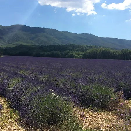 196 Rue Des Moulins *