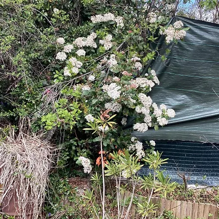 196 Rue Des Moulins Сasa de vacaciones