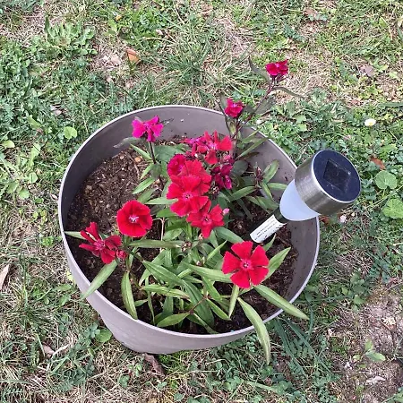 196 Rue Des Moulins Dom wakacyjny *