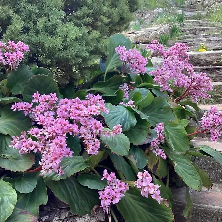 196 Rue Des Moulins Holiday home *