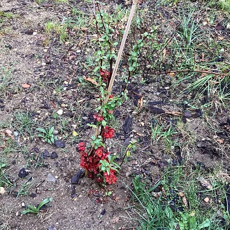 196 Rue Des Moulins *