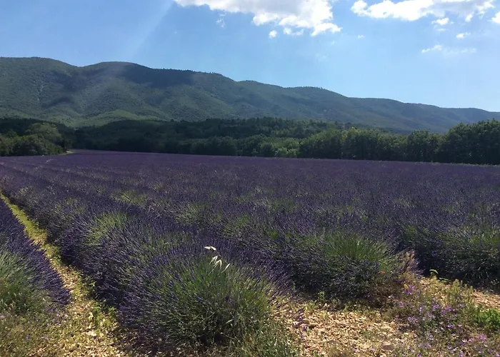 196 Rue Des Moulins *