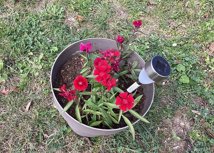 196 Rue Des Moulins Holiday home *