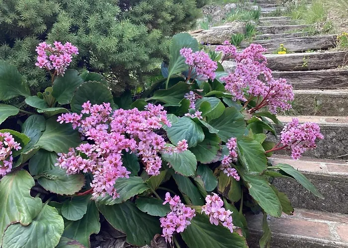 196 Rue Des Moulins Holiday home *