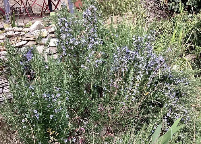 Holiday home 196 Rue Des Moulins Vacheres