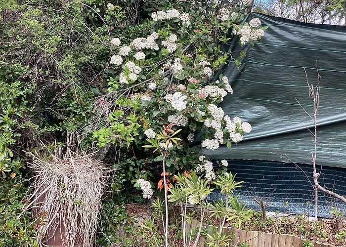 196 Rue Des Moulins Holiday home