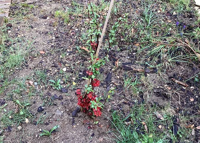 196 Rue Des Moulins *